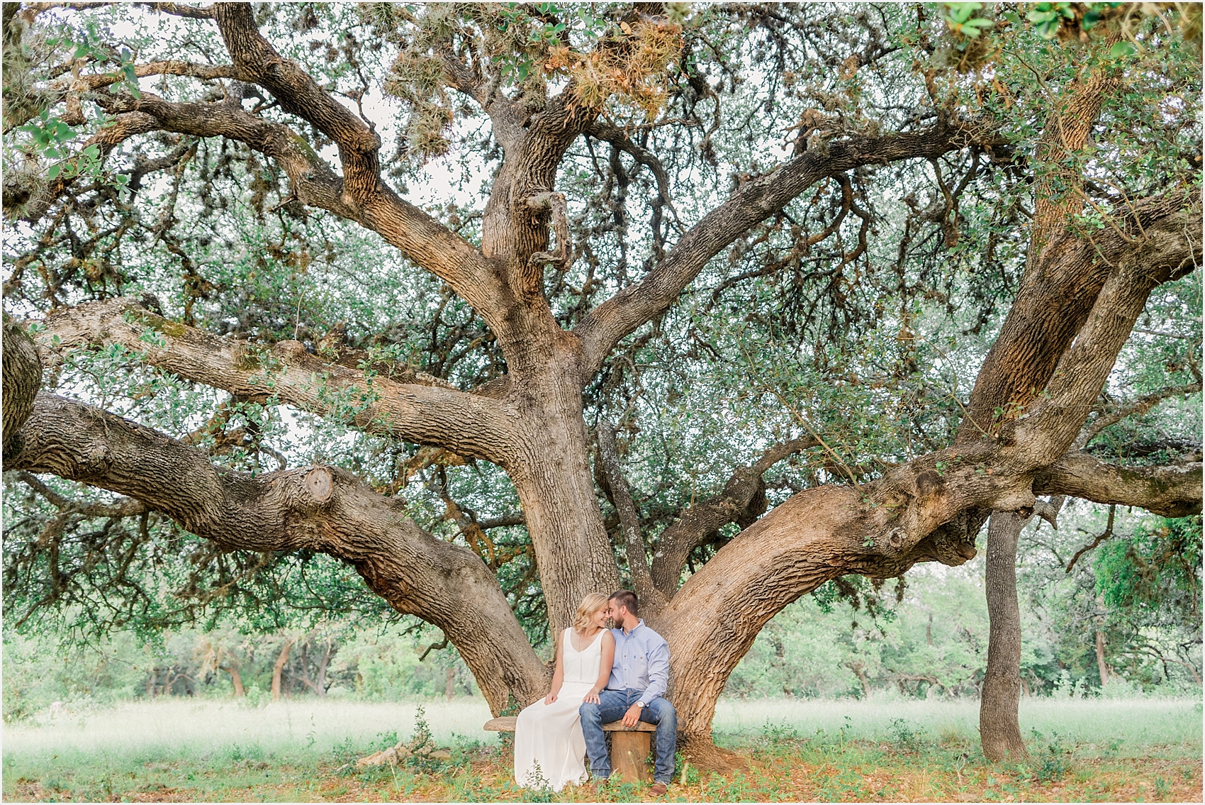 Austin Texas ATX Engagement Session Wedding Photographer Wildflowers Canyon Lake Oak Tree