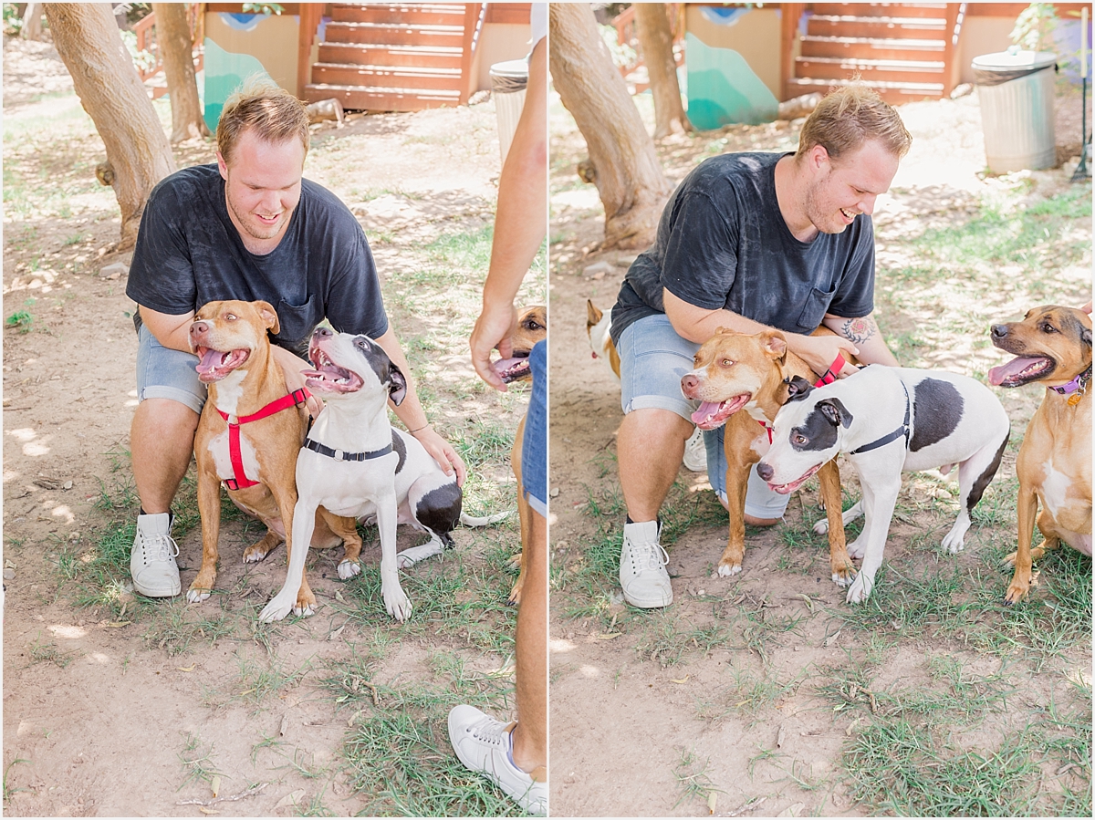 Austin Texas Dog Birthday Party Pit Bull Love Woofgang Bakery