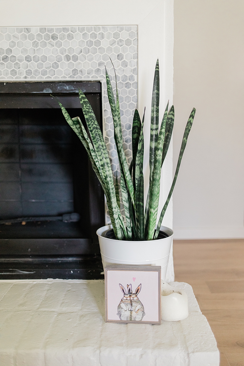 I love the marbled tile around the fireplace! We're in South Austin, Texas in a neighborhood called Cherry Creek. Click through to see how we've settled so far!