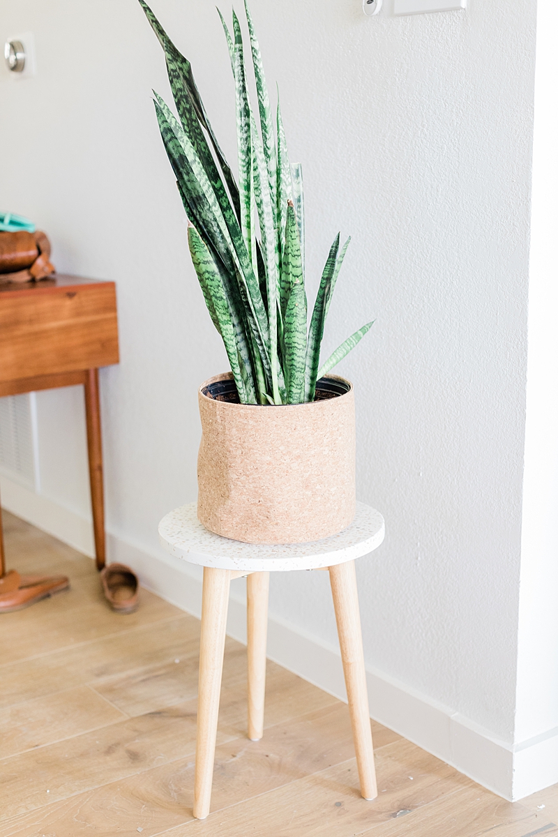 Plant stand and from target. We're in South Austin, Texas in a neighborhood called Cherry Creek. Click through to see how we've settled so far!