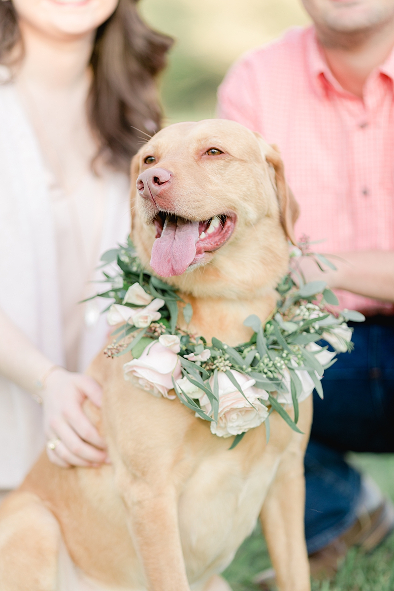 YES you can bring your pup to your session! I love Molly's flower collar! Chelsea & Drew's engagement session at The Waters Point was so dreamy! Outfit Inspiration for sure!