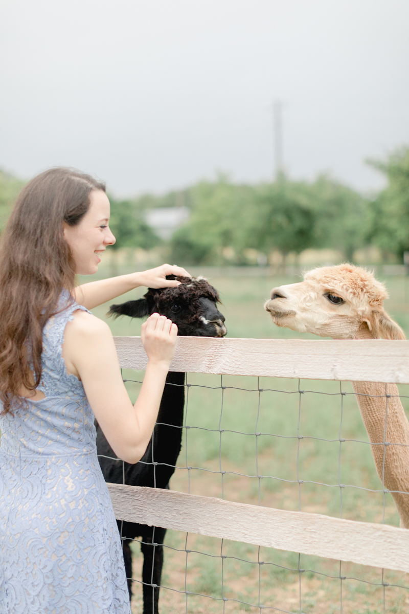 ALT TEXT: Sometimes a couple's energy is just so contagious. That’s Sebastian and Amber-Lea. They're the epitome of bubbly. Their Camp Lucy engagement session was so fun and beautiful! Plus there were ALPACAS! Click through to see their whole session!