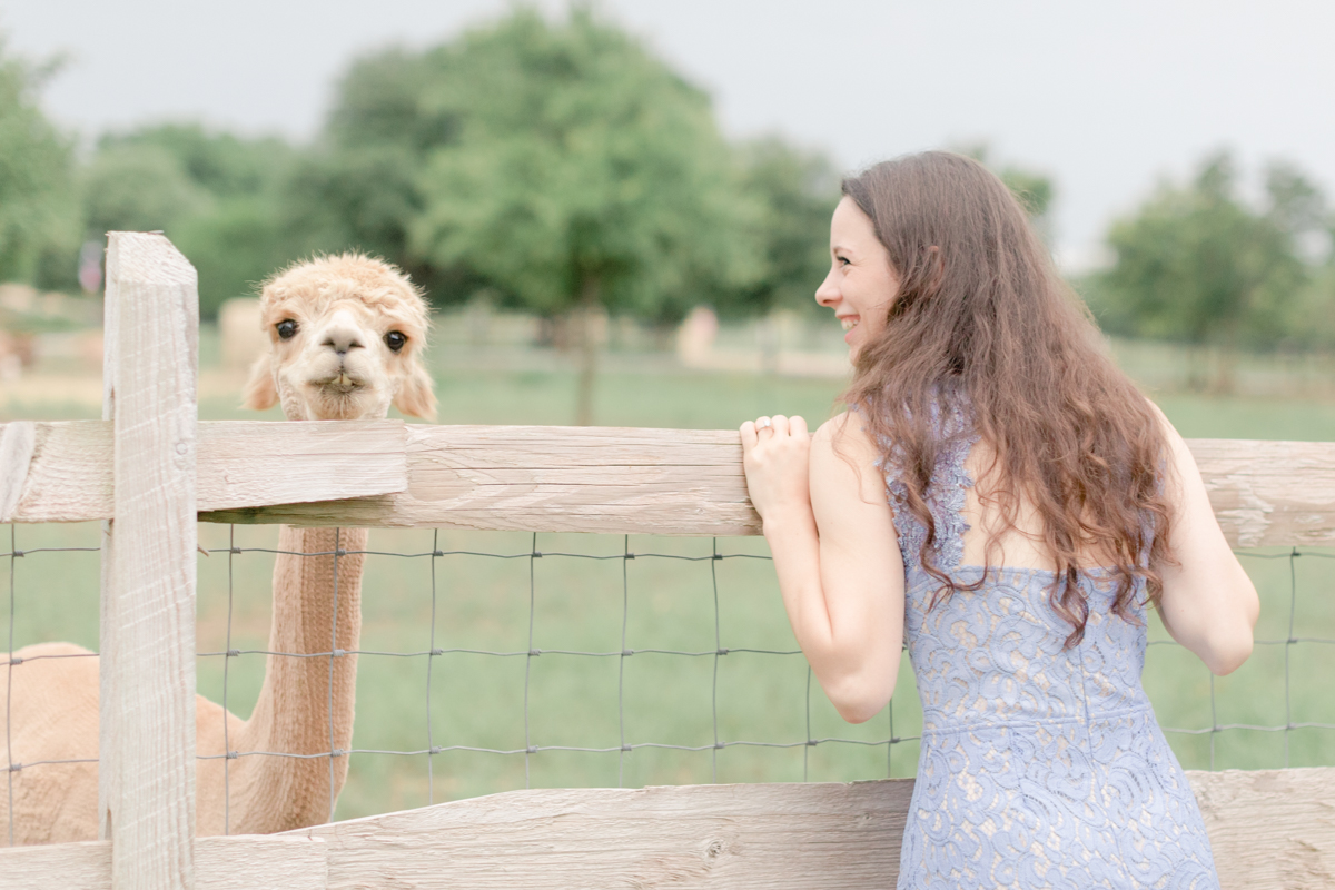 ALT TEXT: Sometimes a couple's energy is just so contagious. That’s Sebastian and Amber-Lea. They're the epitome of bubbly. Their Camp Lucy engagement session was so fun and beautiful! Plus there were ALPACAS! Click through to see their whole session!