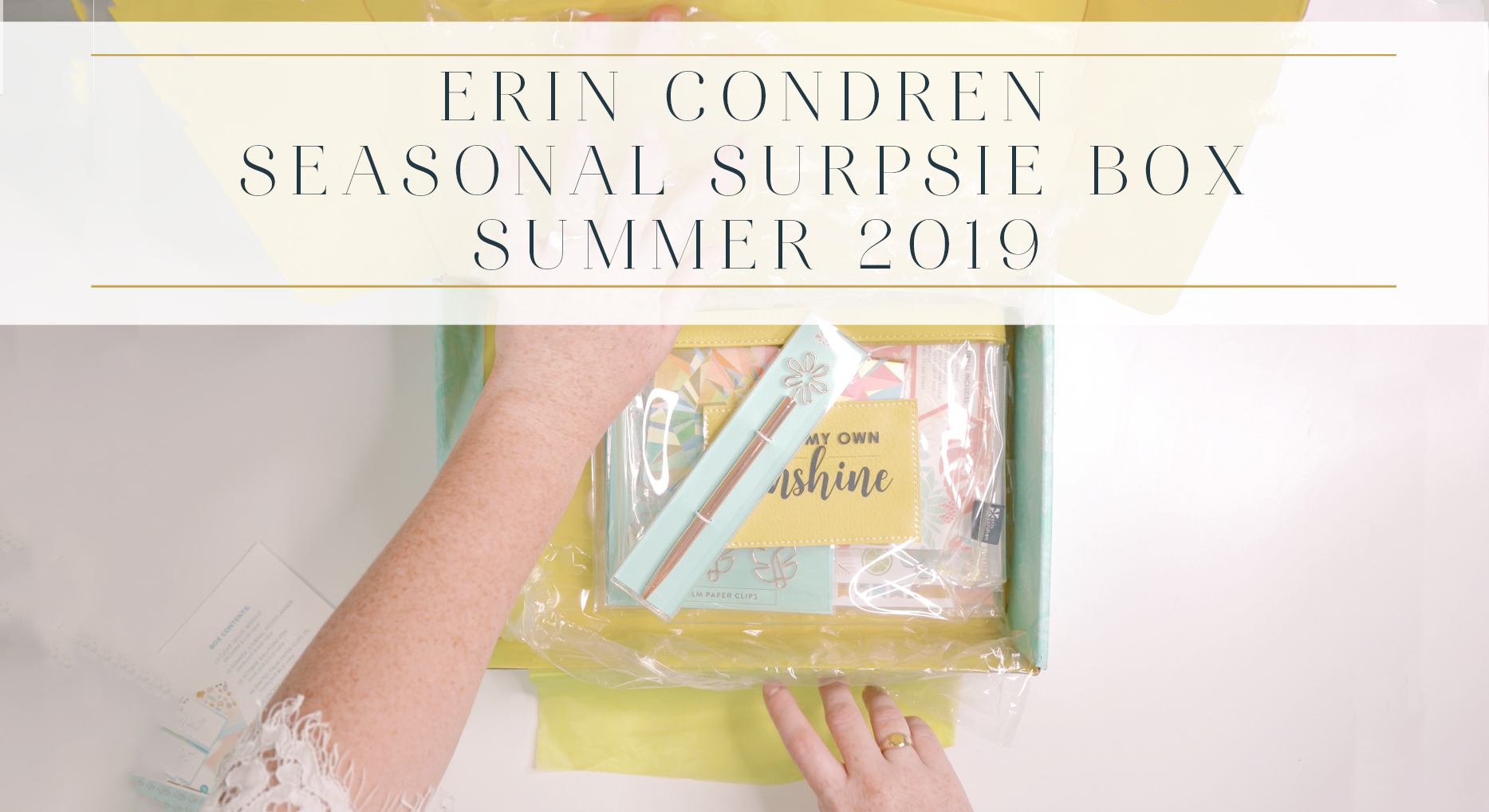 Erin Condren Seasonal Surprise Box
