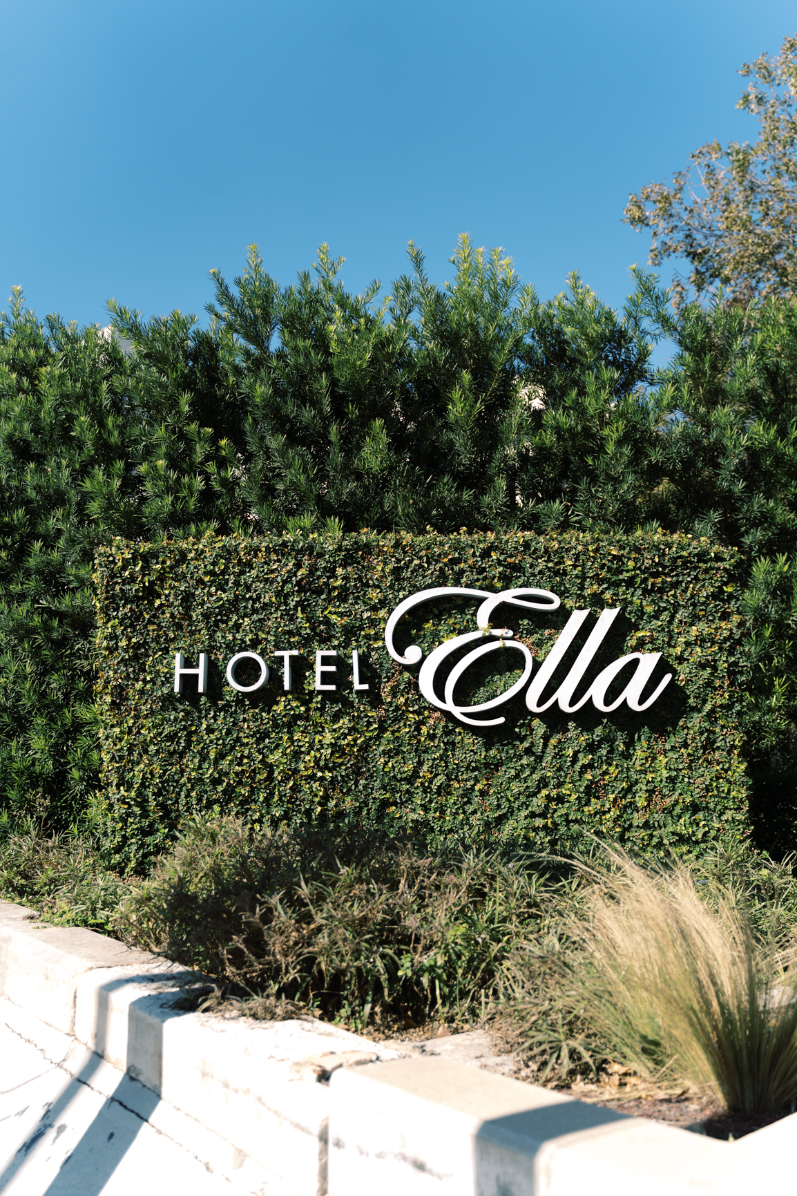 Gorgeous December wedding at Hotel Ella in downtown Austin, TX! Katelyn and Sean brought their dog Huck along as their best pup, had champagne served from a trailer they built themselves! 