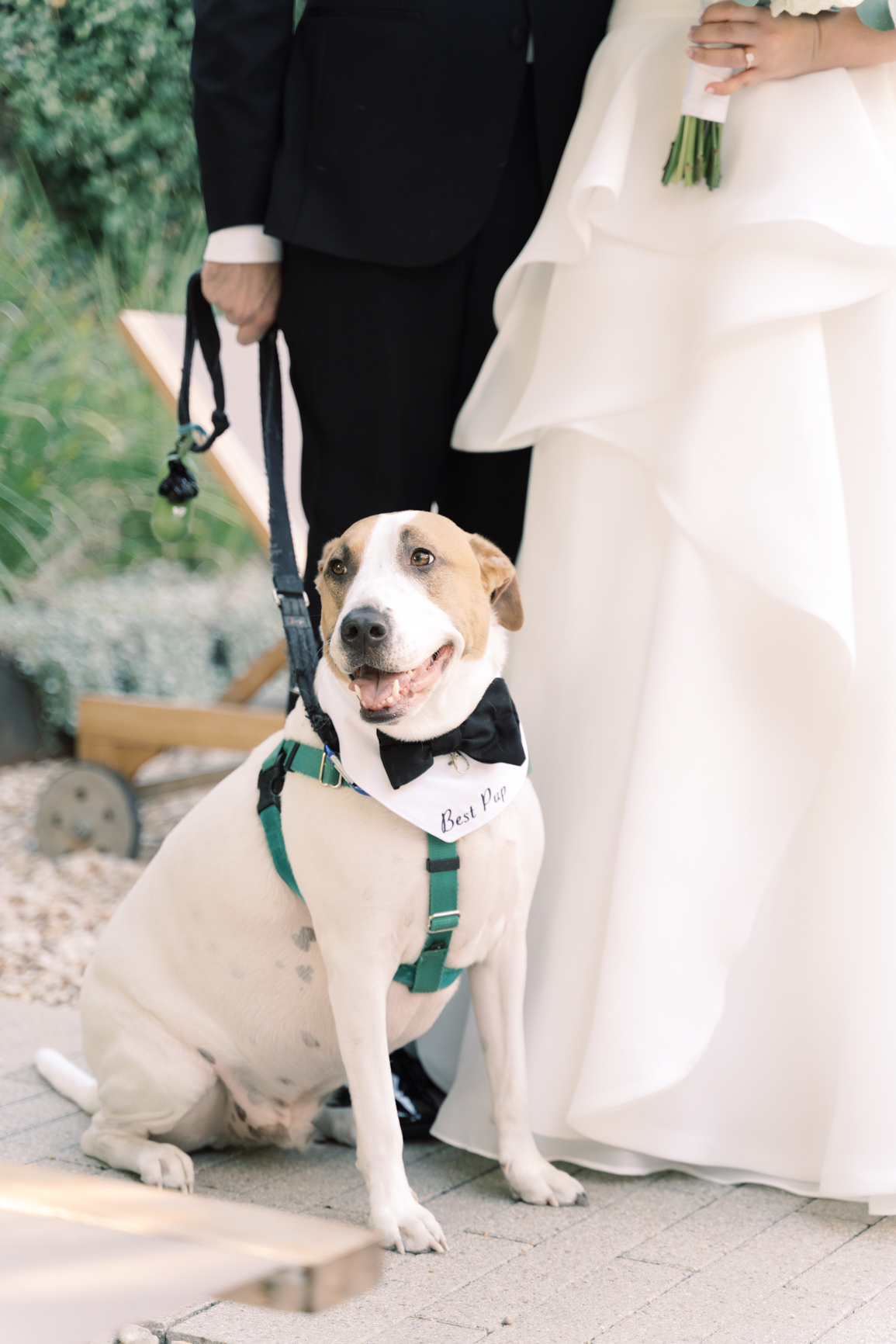 Gorgeous December wedding at Hotel Ella in downtown Austin, TX! Katelyn and Sean brought their dog Huck along as their best pup, had champagne served from a trailer they built themselves! 