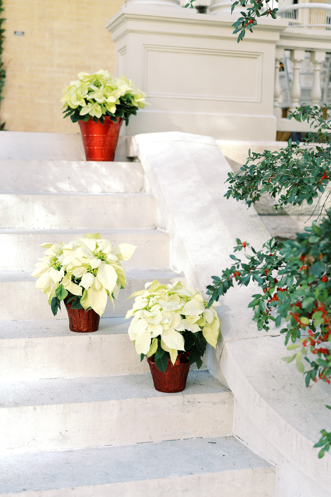 Gorgeous December wedding at Hotel Ella in downtown Austin, TX! Katelyn and Sean brought their dog Huck along as their best pup, had champagne served from a trailer they built themselves! 