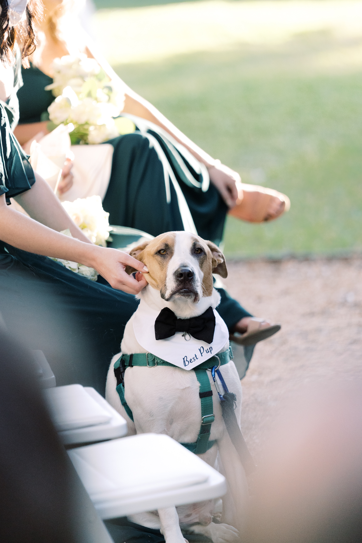 Gorgeous December wedding at Hotel Ella in downtown Austin, TX! Katelyn and Sean brought their dog Huck along as their best pup, had champagne served from a trailer they built themselves! 