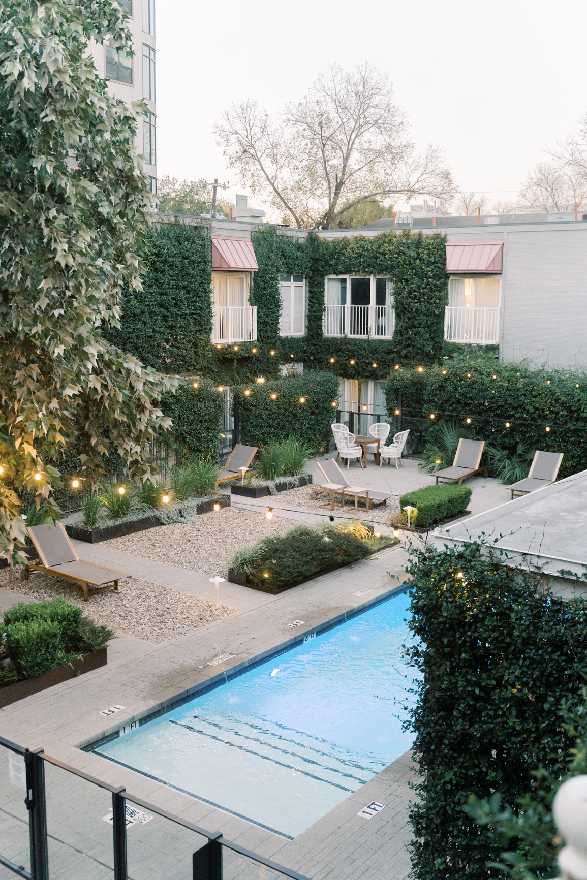 Gorgeous December wedding at Hotel Ella in downtown Austin, TX! Katelyn and Sean brought their dog Huck along as their best pup, had champagne served from a trailer they built themselves! 