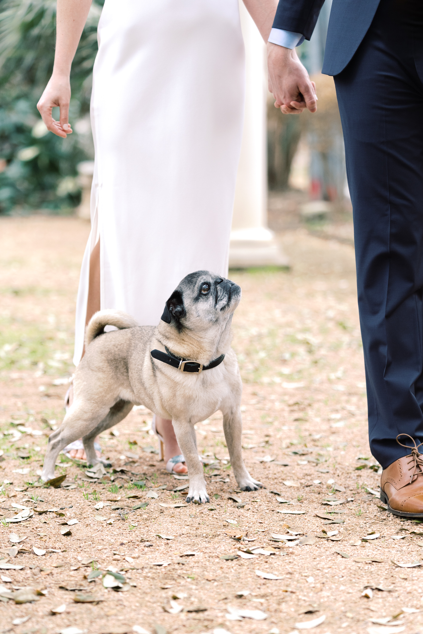 Formal Laguna Gloria engagement session in Austin, TX! This is my favorite engagement session location in ATX!! Can you see why??