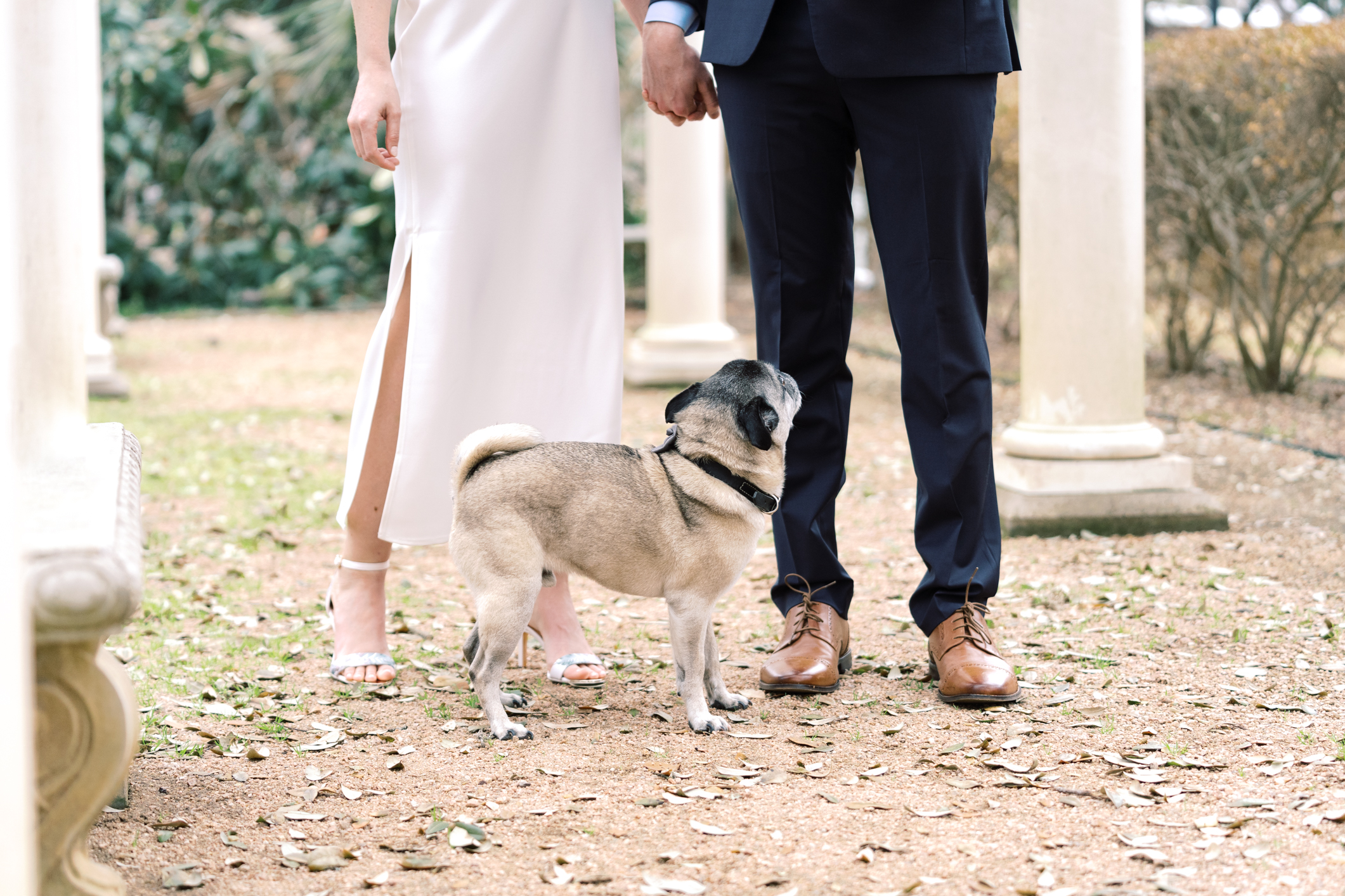 Formal Laguna Gloria engagement session in Austin, TX! This is my favorite engagement session location in ATX!! Can you see why??